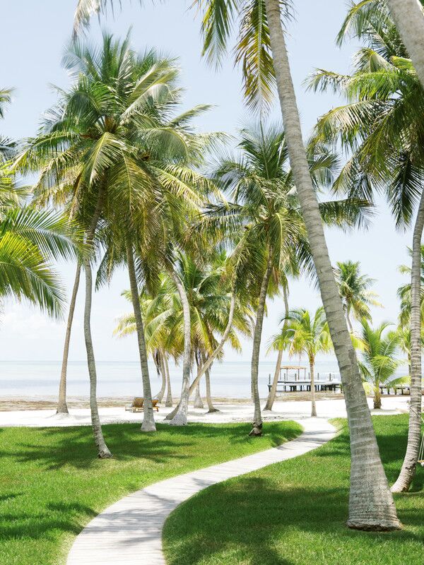 Tall palms sway peacefully at a Key Largo wedding venue.